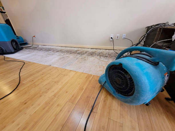 Professional Basement Flood Cleanup technician working in Pleasant Hill, TN